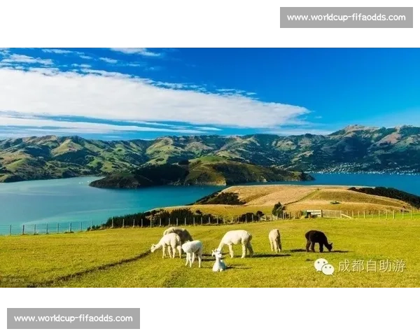 2026世界杯西雅图，让足球梦想触手可及！